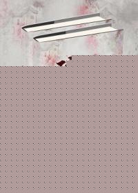 ȫĶ
