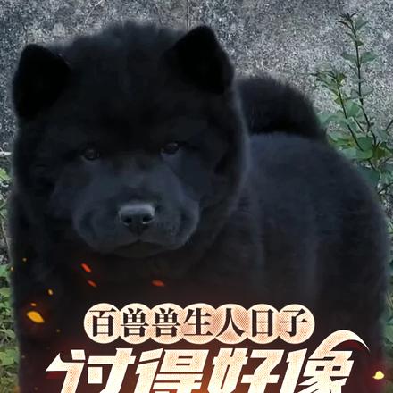 鶯һǮҲȫĶ