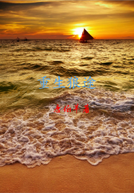 ;ȫĶ