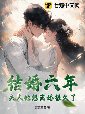 结婚六年,夫人她想离婚很久了全文免费阅读